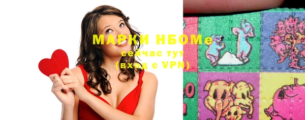 ГАЛЛЮЦИНОГЕННЫЕ ГРИБЫ Липки