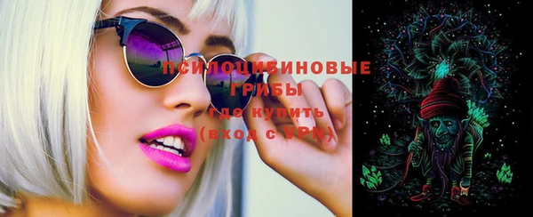 ГАЛЛЮЦИНОГЕННЫЕ ГРИБЫ Липки
