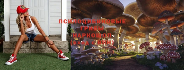 каннабис Алзамай