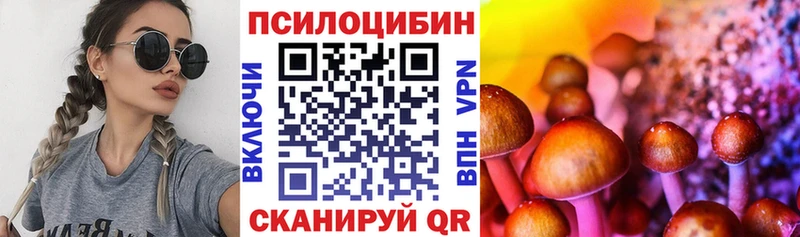 Псилоцибиновые грибы ЛСД  kraken   Новая Ладога 